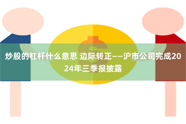 炒股的杠杆什么意思 边际转正——沪市公司完成2024年三季报披露