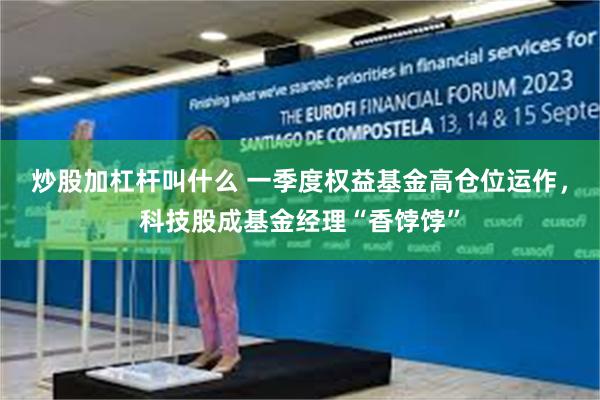 炒股加杠杆叫什么 一季度权益基金高仓位运作，科技股成基金经理“香饽饽”