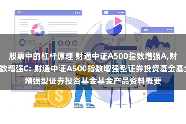 股票中的杠杆原理 财通中证A500指数增强A,财通中证A500指数增强C: 财通中证A500指数增强型证券投资基金基金产品资料概要