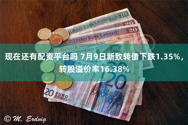 现在还有配资平台吗 7月9日新致转债下跌1.35%，转股溢价率16.38%