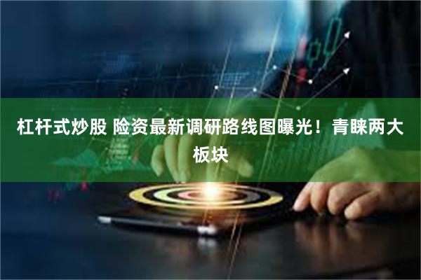 杠杆式炒股 险资最新调研路线图曝光！青睐两大板块