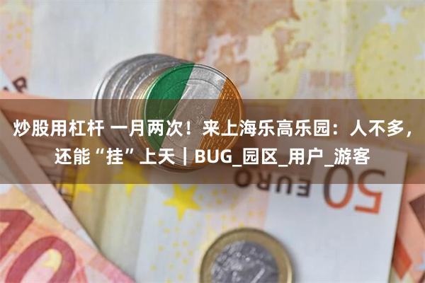 炒股用杠杆 一月两次！来上海乐高乐园：人不多，还能“挂”上天｜BUG_园区_用户_游客