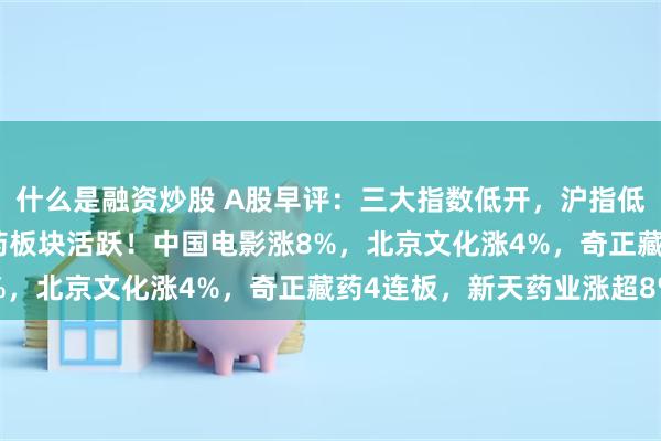 什么是融资炒股 A股早评：三大指数低开，沪指低开0.36%，黄金、中药板块活跃！中国电影涨8%，北京文化涨4%，奇正藏药4连板，新天药业涨超8%